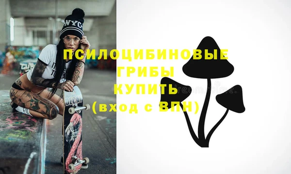 стаф Карпинск