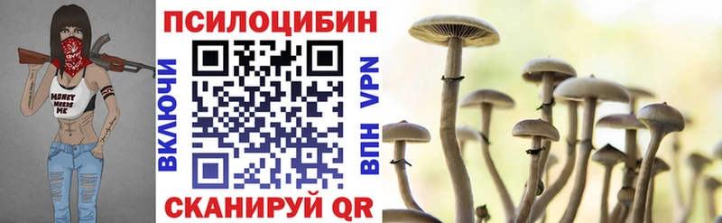 Галлюциногенные грибы Psilocybine cubensis OMG вход площадка Telegram Почеп